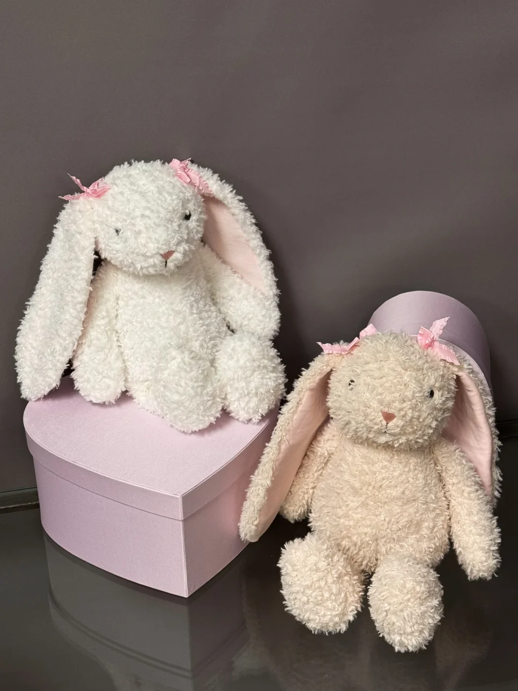 2 Renkli Tatlı Peluş Tavşanlar