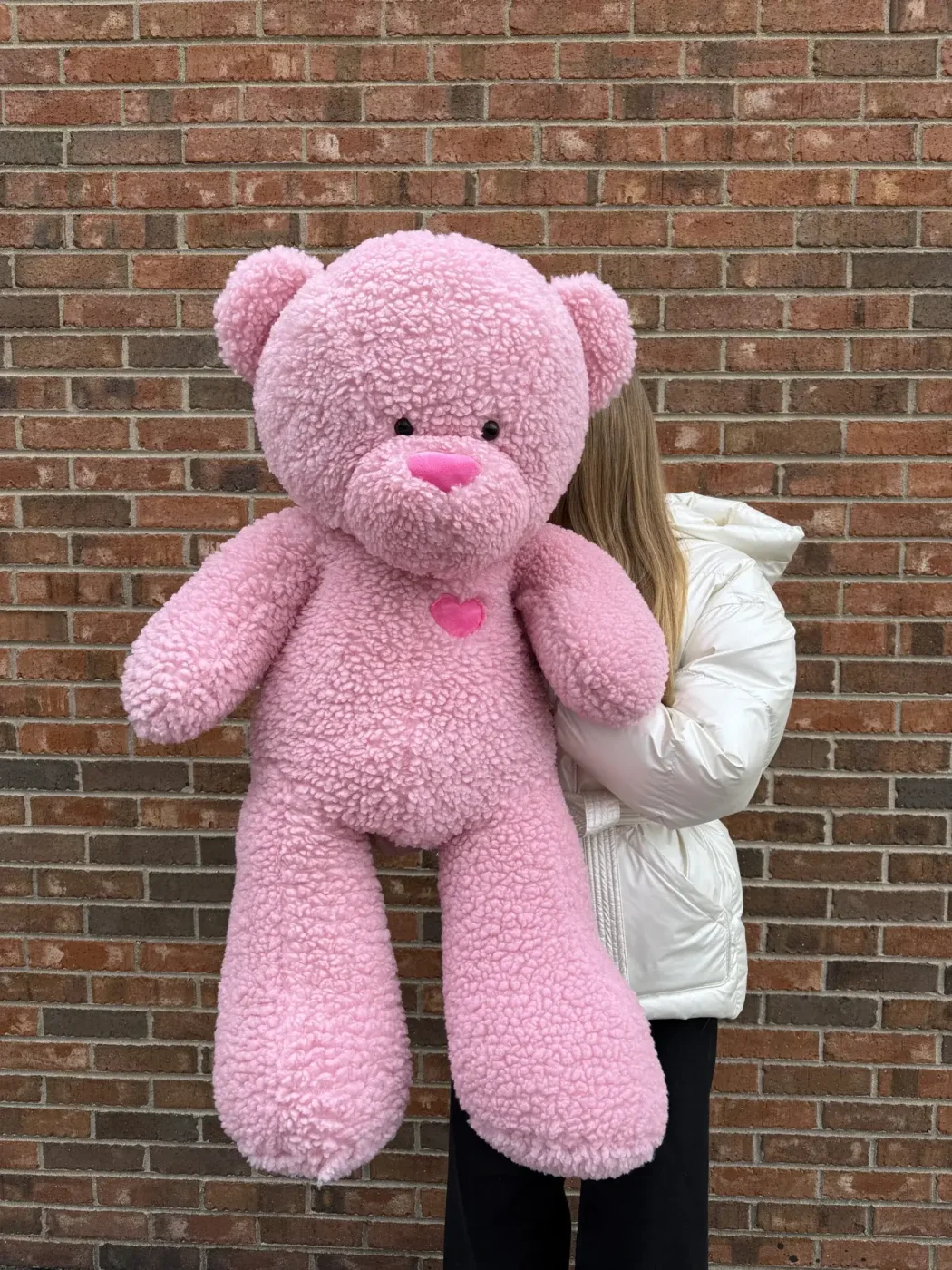 Pembe ve Kahverengi Tatlı Peluş Ayıcıklar
