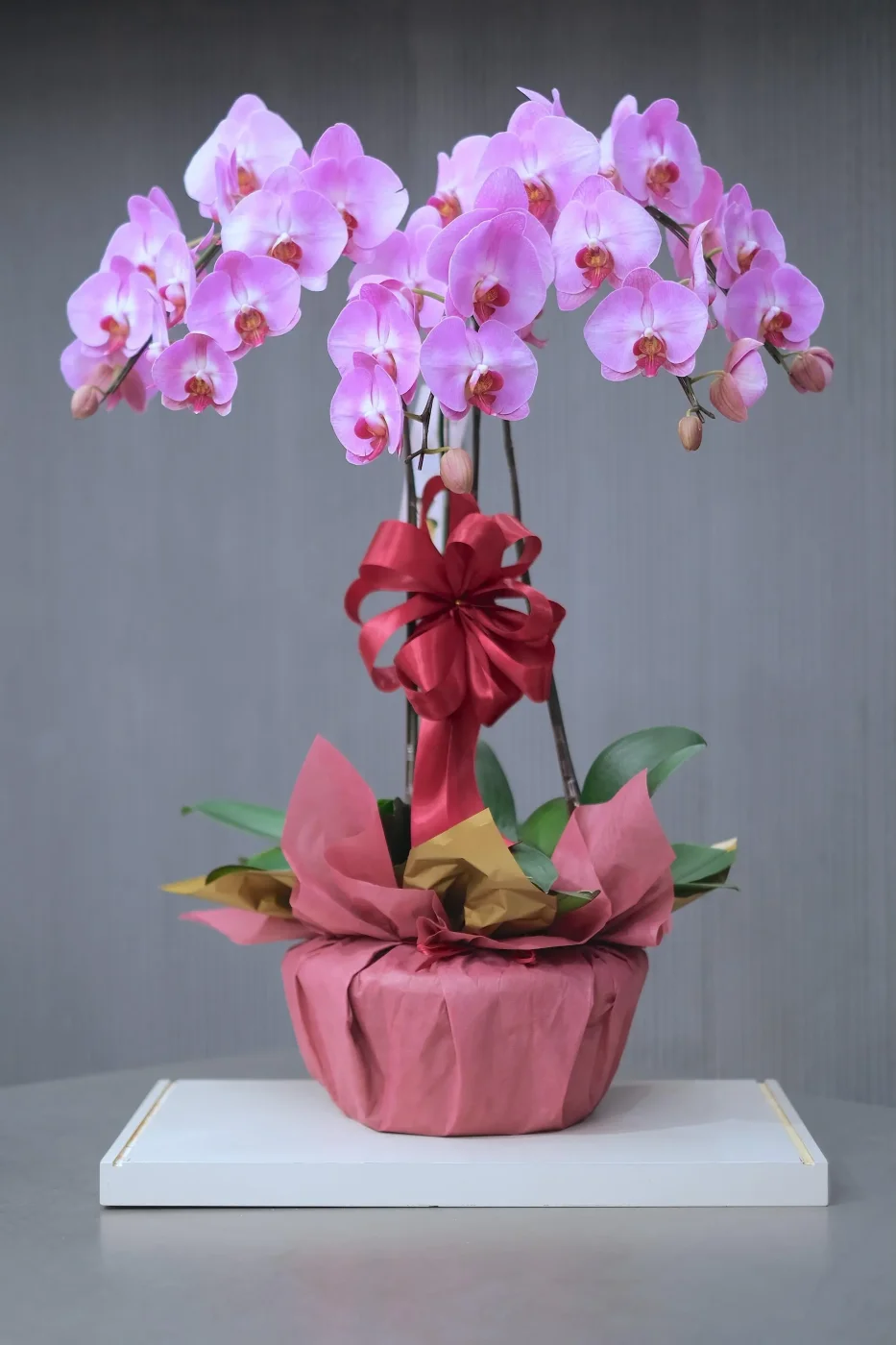 Pembe 2 Dallı Orkide Kurdeleli